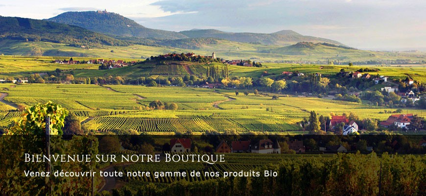 Bienvenue